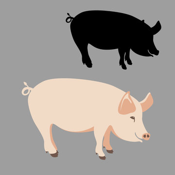 pig flat style vector illustration black silhouette profile