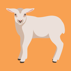 Fototapeta premium sheep young flat style vector illustration profile view