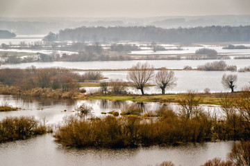Narew w Strękowej Górze © podlaski49