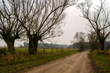 Jesienna droga © podlaski49