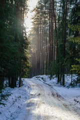 country road in winter