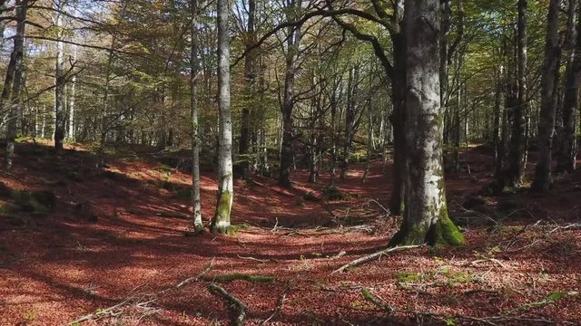Urbasa en Oto&ntilde;o