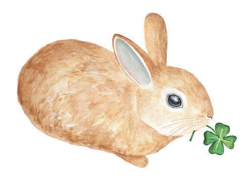 Little fluffy pet rabbit carring a green four leafed clover sprout. Symbol of good luck, sweet hello, tenderness, forest, welcome spring, summer. Hand drawn watercolour, isolated on white background. - Powered by Adobe