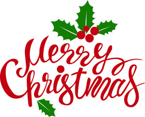 Lettering hand-written merry Christmas. For invitations, posters, registration of pages in social networks, posters, banners.