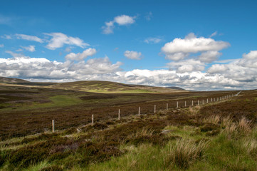 Typical wavy landscape in central Scotland