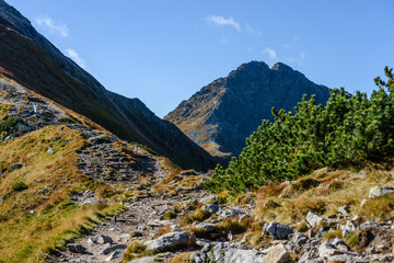 rocky mountain peak area view in slovakia