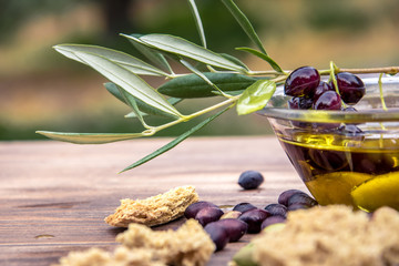 Bowl with extra virgin olive oil, olives, a fresh branch of olive tree and cretan rusk dakos close...