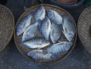 fresh nile fish on street market