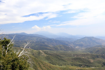 San Bernarnino National Forest