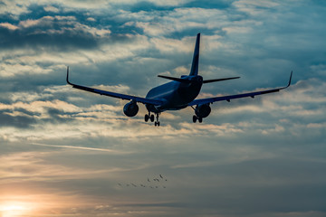 Fototapeta na wymiar Flugzeug landet bei Sonnenuntergang