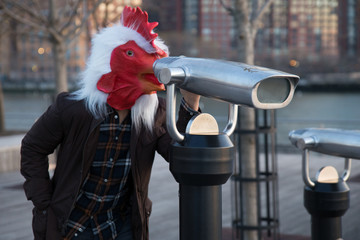 Rooster Man Takes in the Sights
