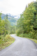 empty asphalt road in the countryside in summer