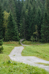 empty asphalt road in the countryside in summer
