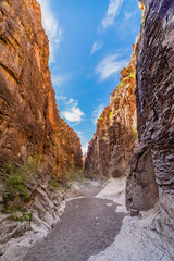 Close Canyon VIII
