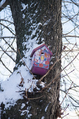 СПА салон для птиц