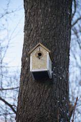 Скворечник зимой