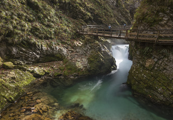 Wooden boardwalk over the Radovna River with azure transparent water in Vintgar Gorge in Triglav National Park, Slovenia