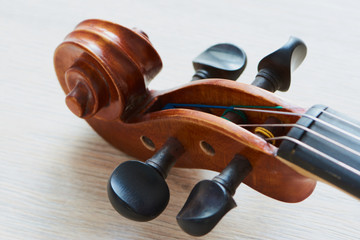 Schnecke einer Violine 