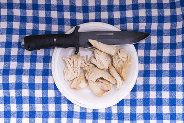 cooked chicken breasts on a plate