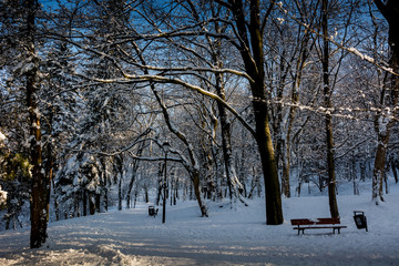 Zima w parku. Przemyśl 