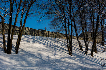 Zima w parku. Przemyśl  © Pawel Gruntowicz
