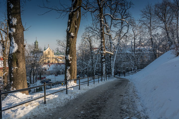 Zima w parku. Przemyśl  © Pawel Gruntowicz