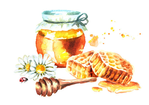 Fresh Honey With Honeycombs, Camomile And Honey Dipper. Watercolor Hand Drawn Illustration