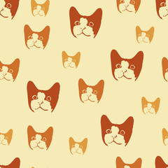 Fototapeta premium Curious cat.