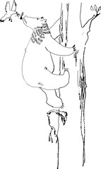 bear is climbing on the tree with bird