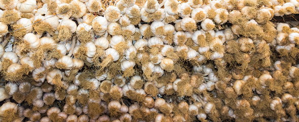 Bunches of garlic hung for presentation for sale in the local market.