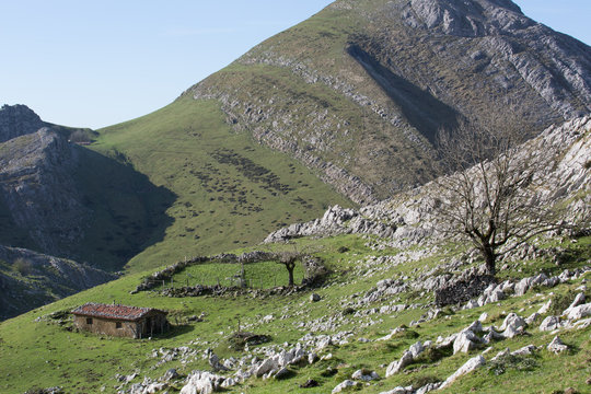 Parque Natural Aralar, in the background the mountain Larrunarri Txindoki