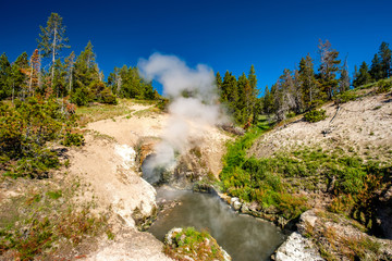 Naklejka na ściany i meble Hot thermal spring in Yellowstone