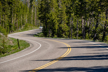 Highway in Yellowstone National Park