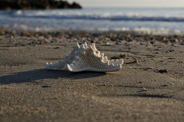 Early in the Morning on the beach in Pomorie resort in Bulgaria