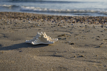 Early in the Morning on the beach in Pomorie resort in Bulgaria