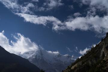Trees and snowcapped peak at background in the Himalaya mountains, Nepal