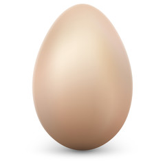 Single egg isolated on white background with transparent shadow. EPS 10 vector