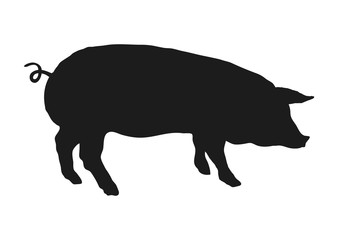 Swine Silhouette