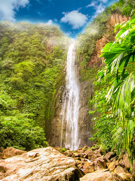 Fototapeta Vertical strzelający kolorowy Carbet Spada lub Les Chutes du Carbet w Basseterre, francuski tropikalny tropikalny las deszczowy Gwadelupa wyspa na niebieskie niebo dniu, francuski Karaiby i wielki Gwadelupa przyciąganie.