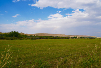 Montana Summer Ranching