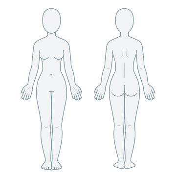 Woman body front view vector illustration. Isolated outline line contour  template girl without clothes. Anatomy of healthy female body shapes. Female  figure vector human body in linear style. 27818131 Vector Art at