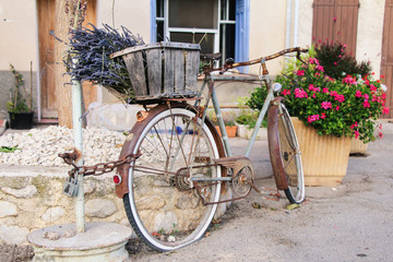 Fototapeta na wymiar Provence Lavande voyage France