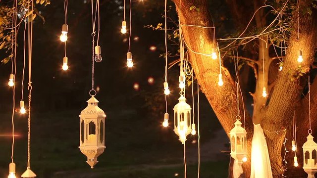 Decorative antique edison style filament light bulbs hanging in the woods, glass lantern, lamp decoration garden at night, magic forest, light bulbs and glow hang on the tree in the forest