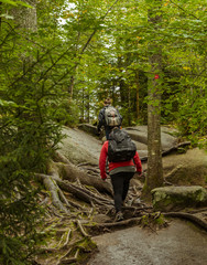Adirondack Hiking - 182198410
