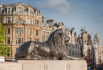 Statue of Lion on Trafalgar Square in London, United Kingdom.