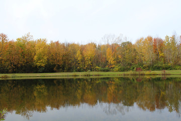 Autumn colors reflecting in the water