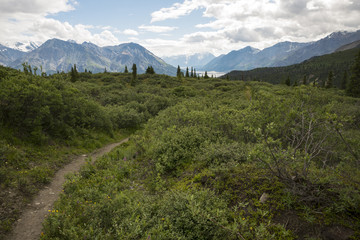 The Sheep Creek Hiking Trail in Kluane National Park, Yukon, Canada
