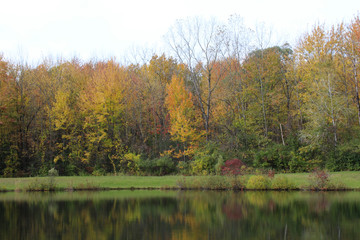 Fall colors on the water