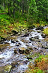 landscape with mountainous rapid river