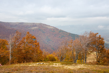 Autumn in Carpathian Mountains, Ukraine